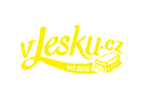 V lesku logo